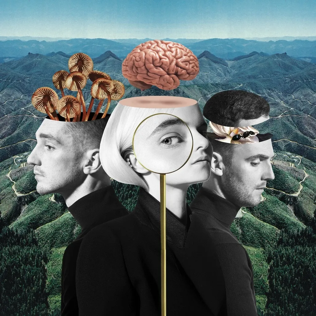 Symphony by Clean Bandit feat. Zara Larsson cover