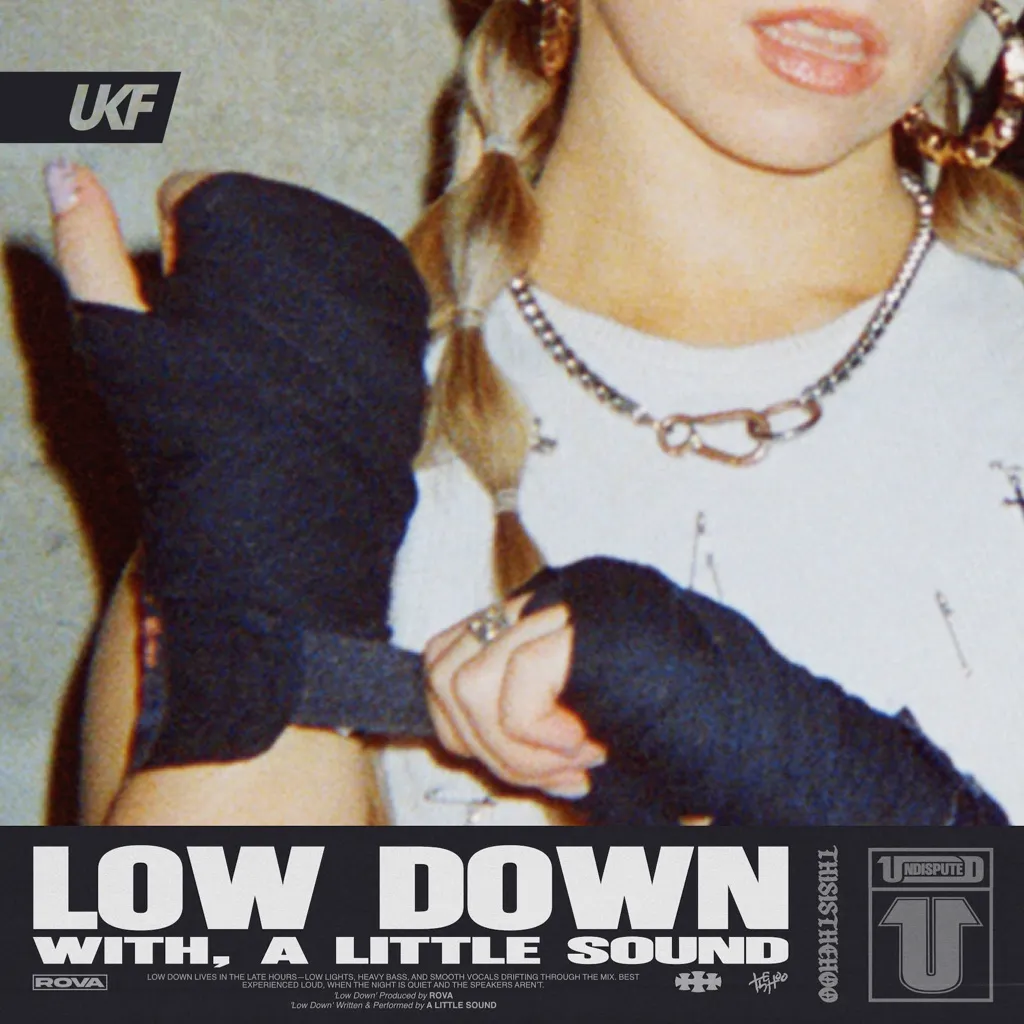 Low Down by Rova And A Little Sound cover
