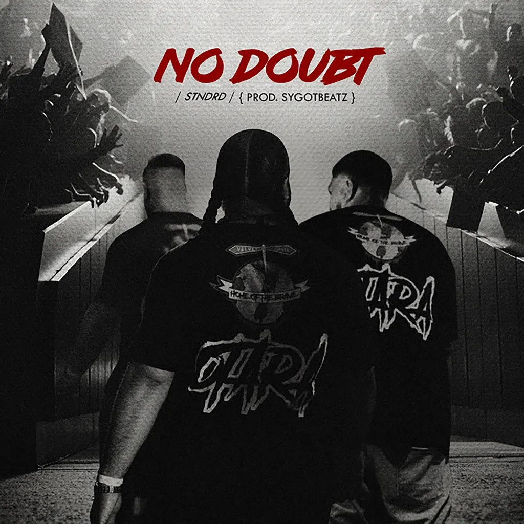 No Doubt by STNDRD cover