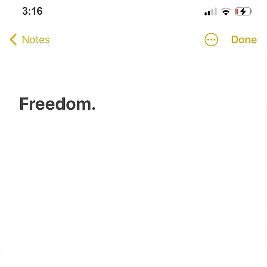 Freedom by Justin Bieber feat. Beam cover