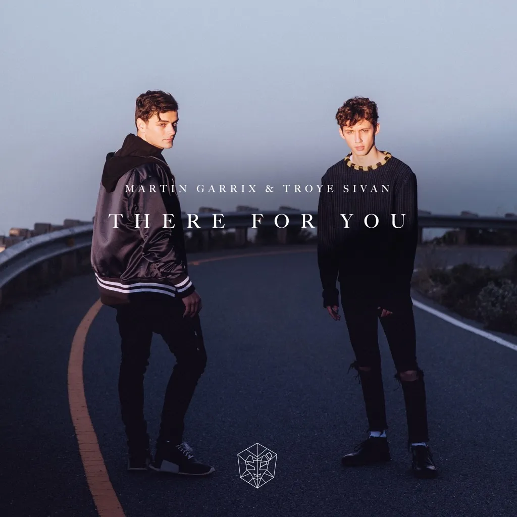 There For You by Martin Garrix And Troye Sivan cover