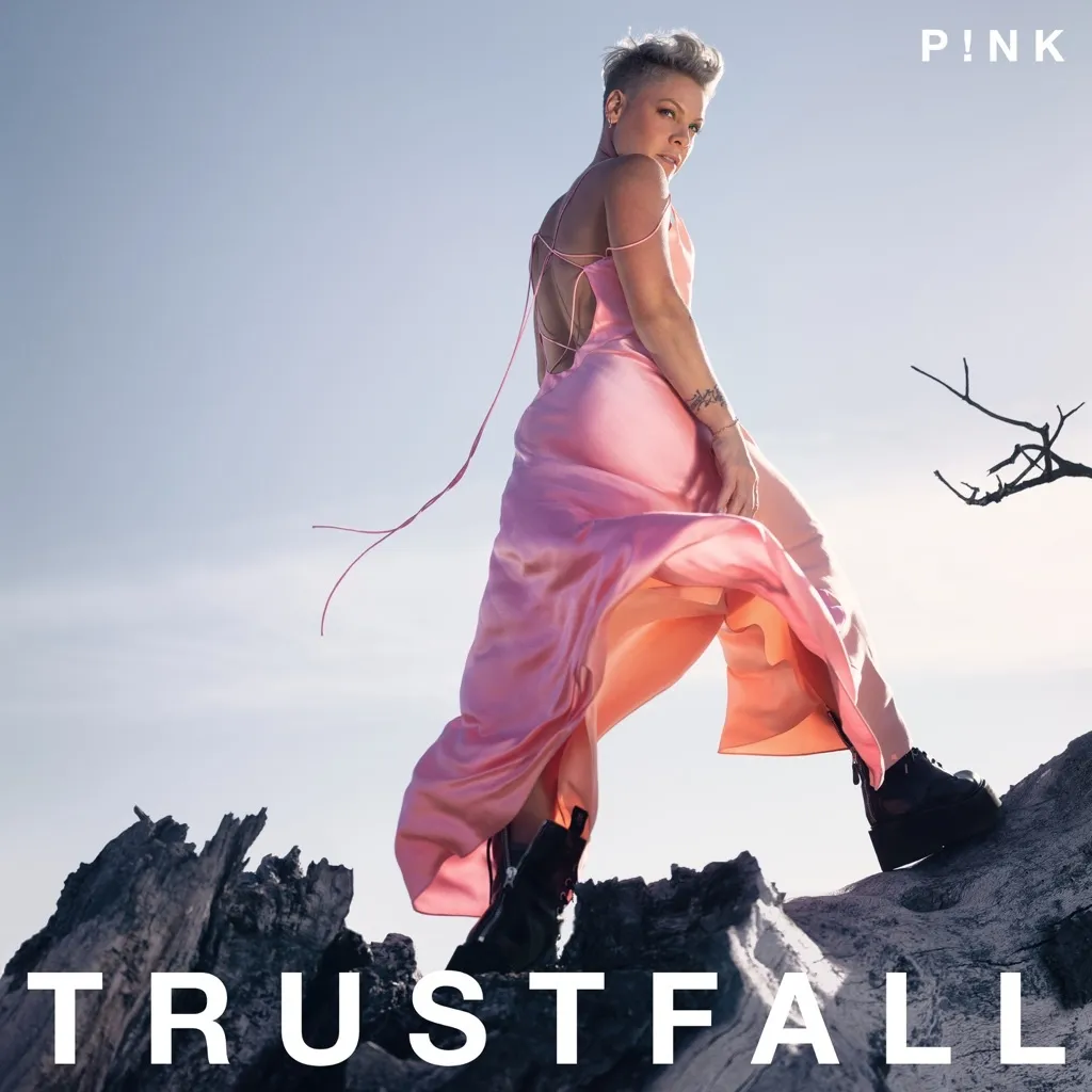 Trustfall by Pink cover