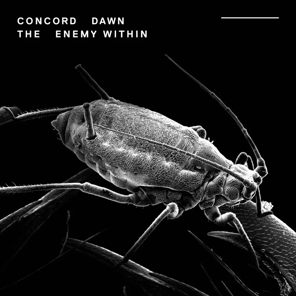 The Enemy Within by Concord Dawn cover