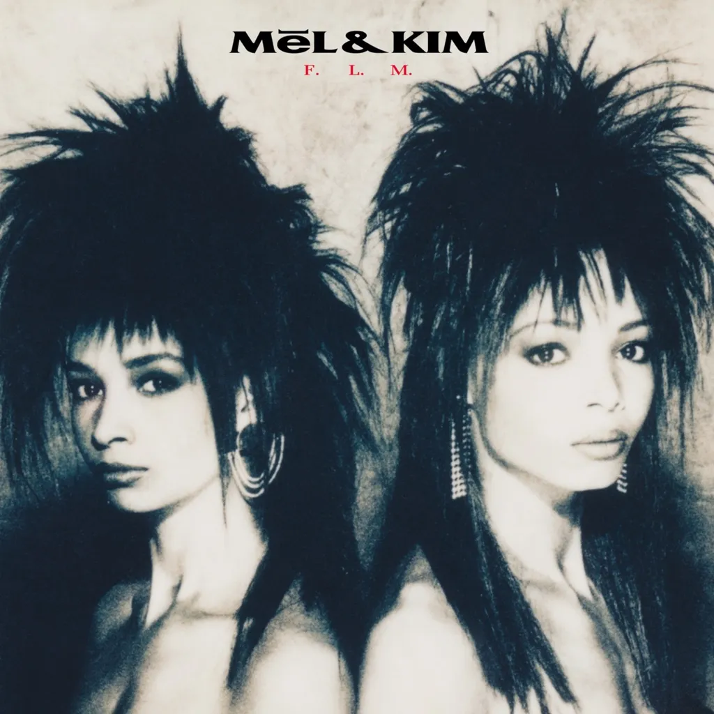 F.L.M. by Mel & Kim cover