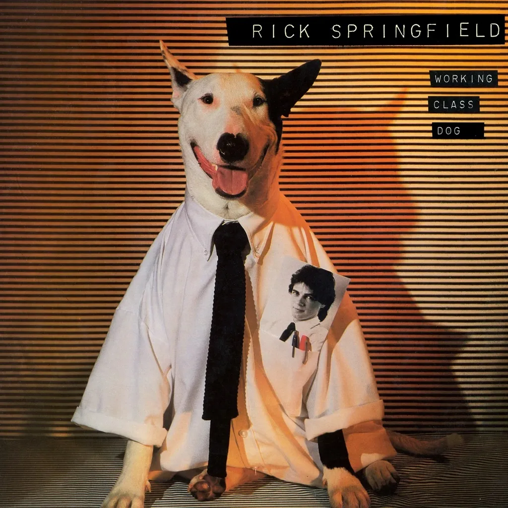 Jessie's Girl by Rick Springfield cover