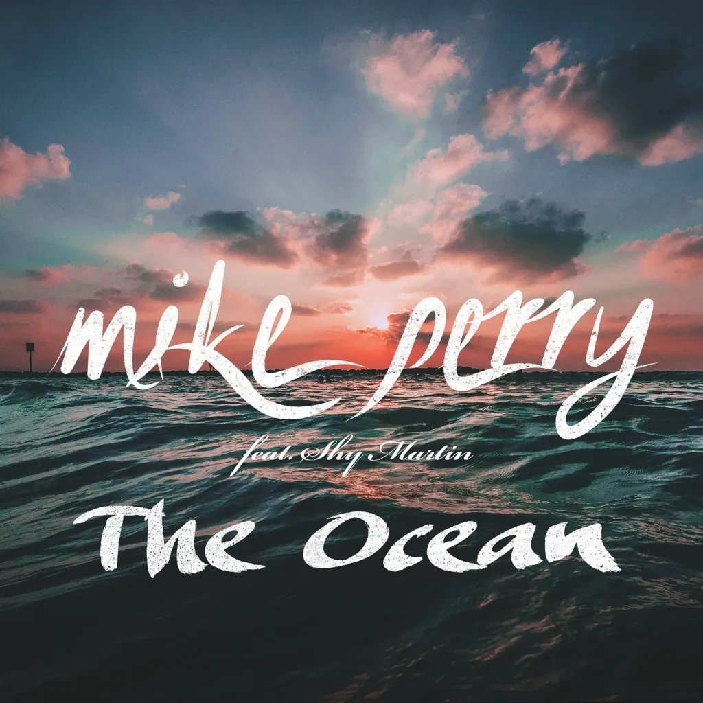 The Ocean by Mike Perry feat. Shy Martin cover