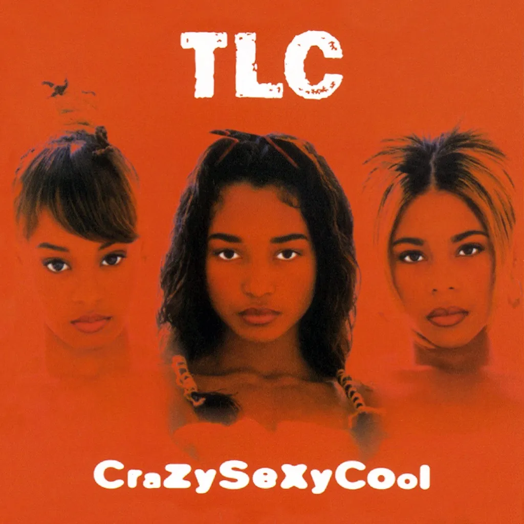 Diggin On You by TLC cover