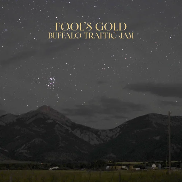 Fool's Gold by Buffalo Traffic Jam cover