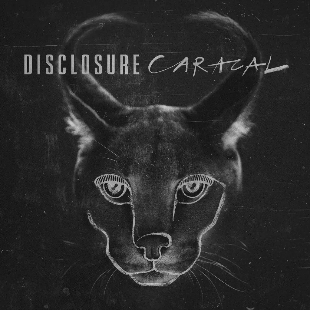 Magnets by Disclosure feat. Lorde cover