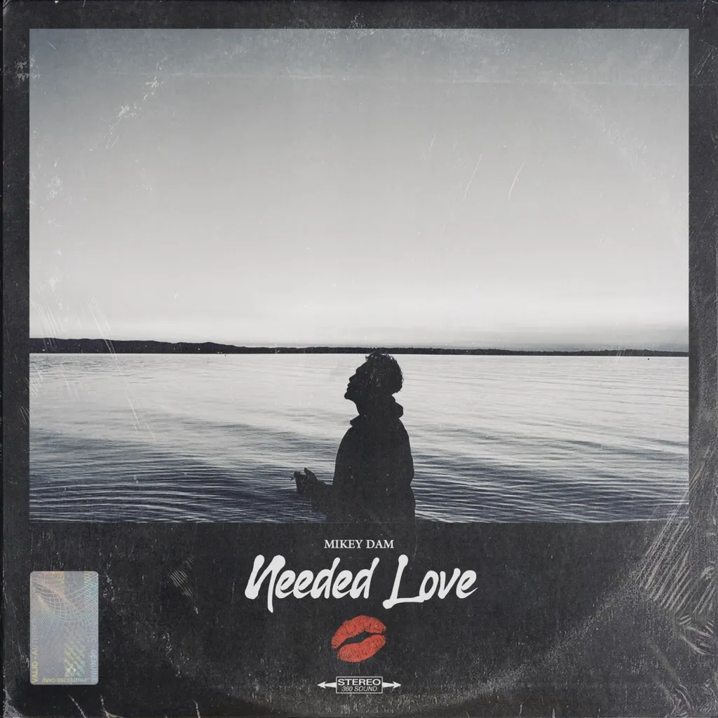 Needed Love by Mikey Dam cover