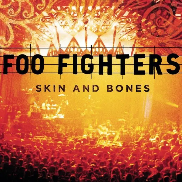 Skin And Bones by Foo Fighters cover