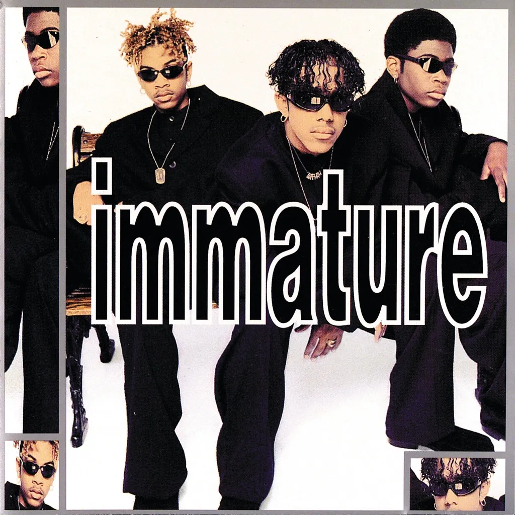 We Got It by Immature cover