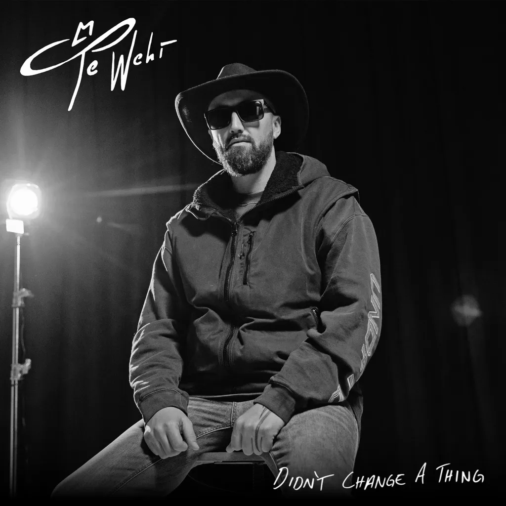 Didn't Change A Thing by Te Wehi cover