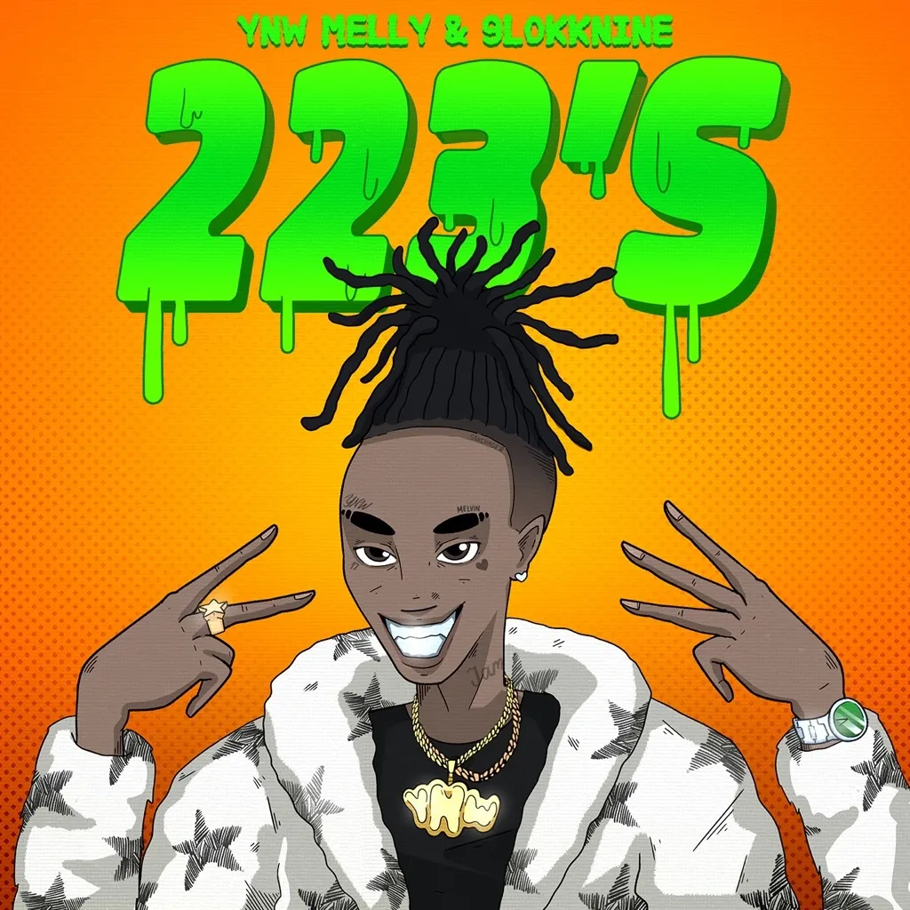 223's by YNW Melly feat. 9lokknine cover