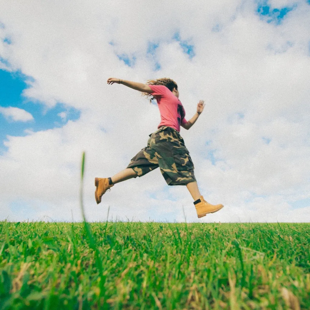Leap! by emerson cover