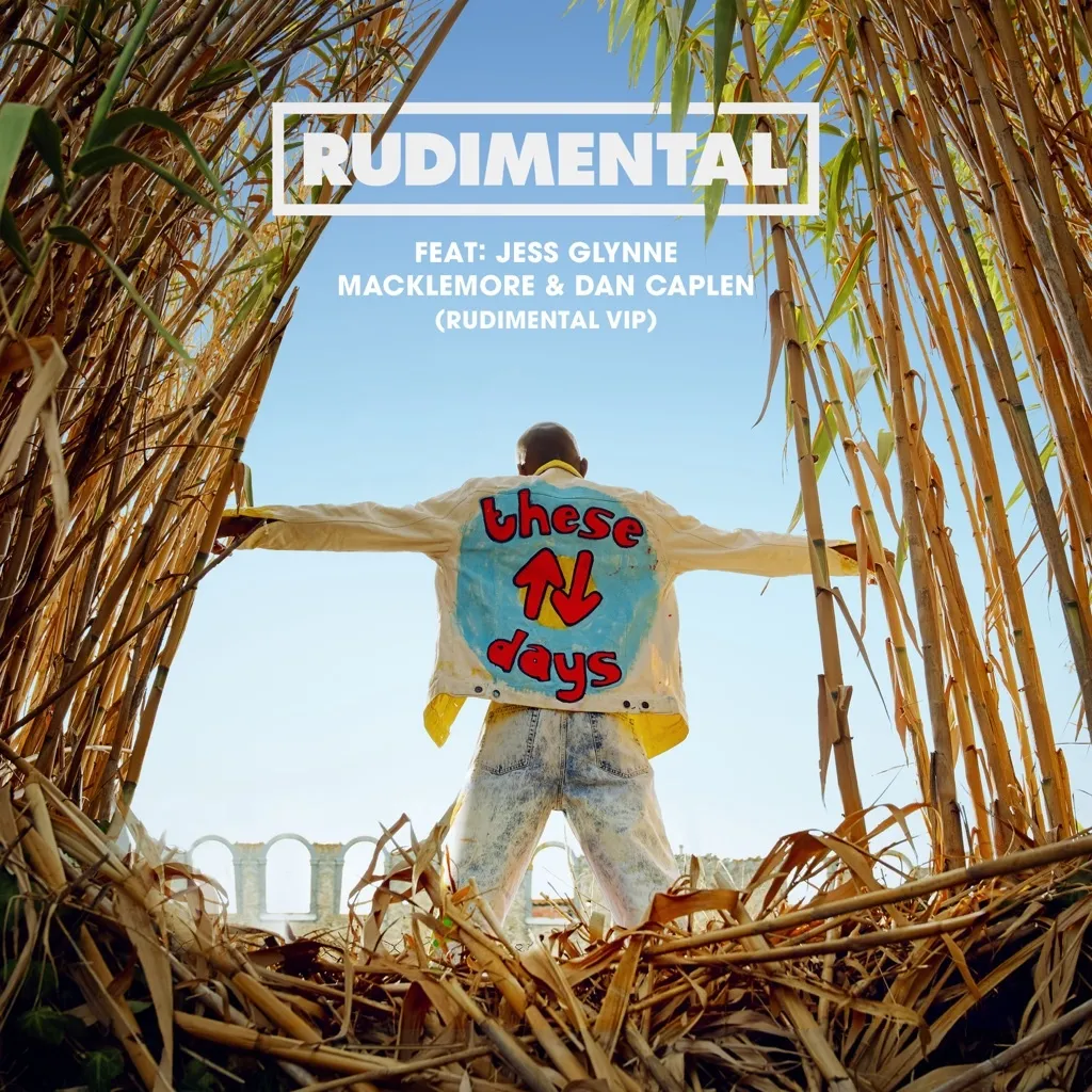 These Days by Rudimental feat. Jess Glynne, Macklemore And Dan Caplen cover