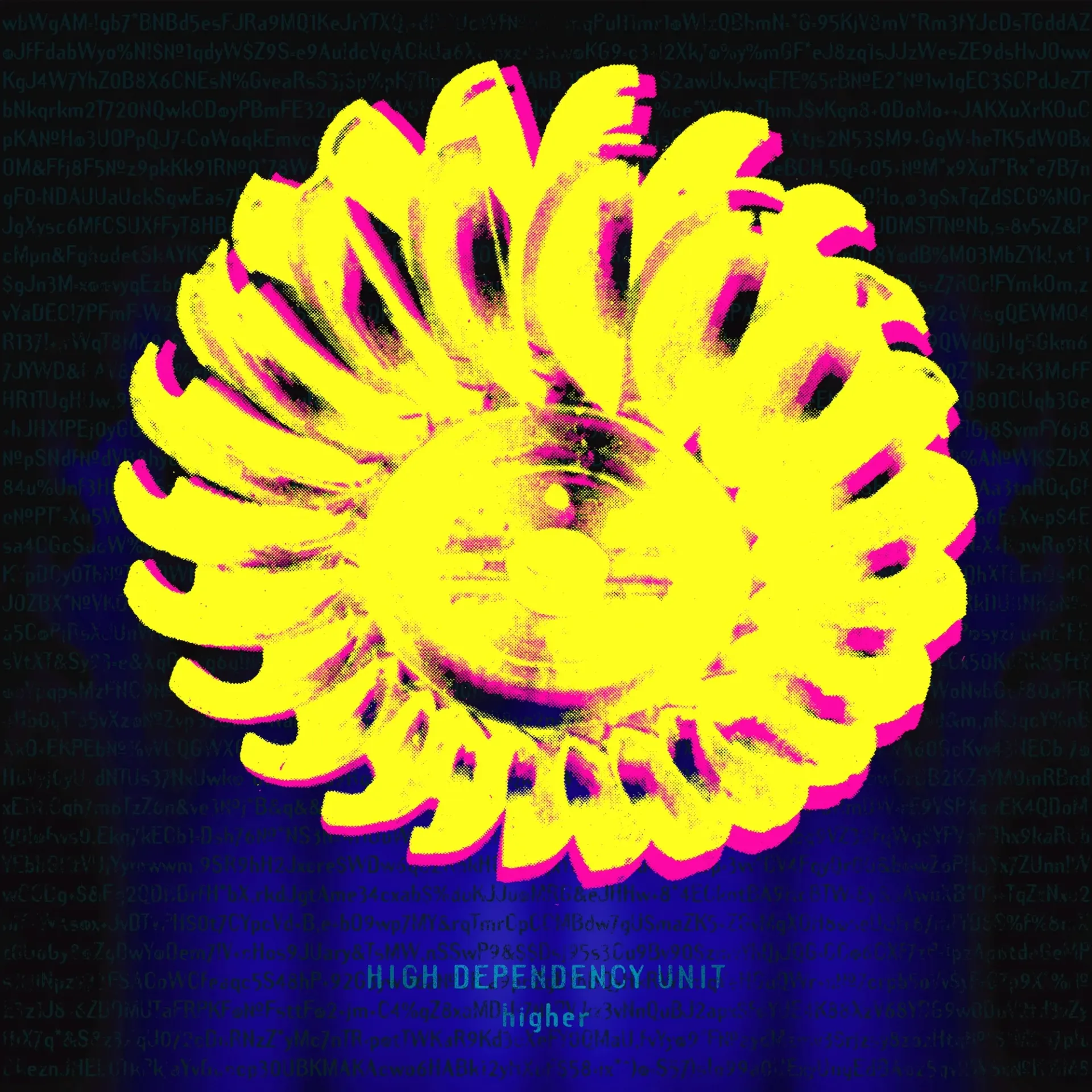 Higher ++ by High Dependency Unit cover