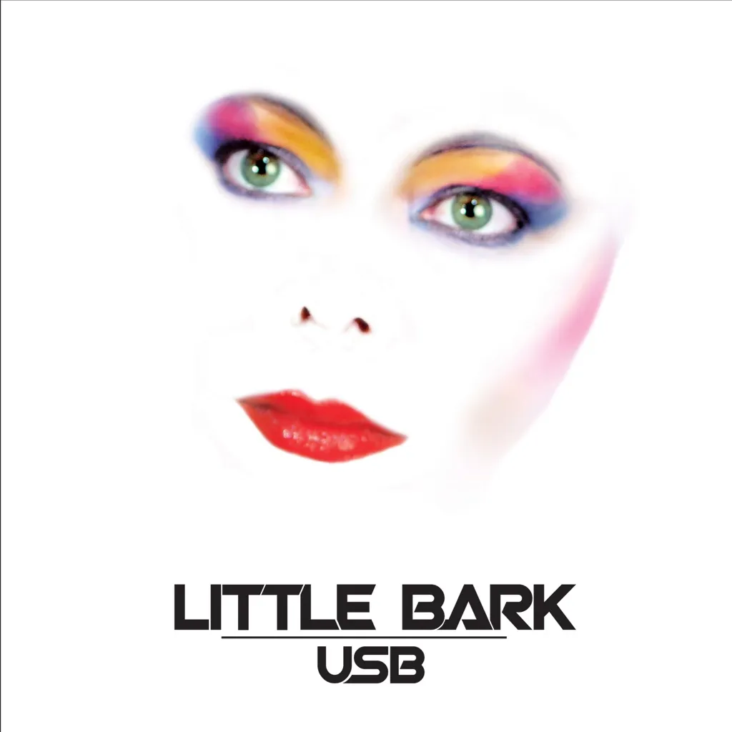 USB by Little Bark cover