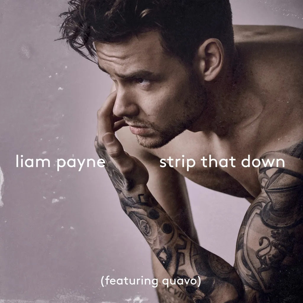 Strip That Down by Liam Payne feat. Quavo cover