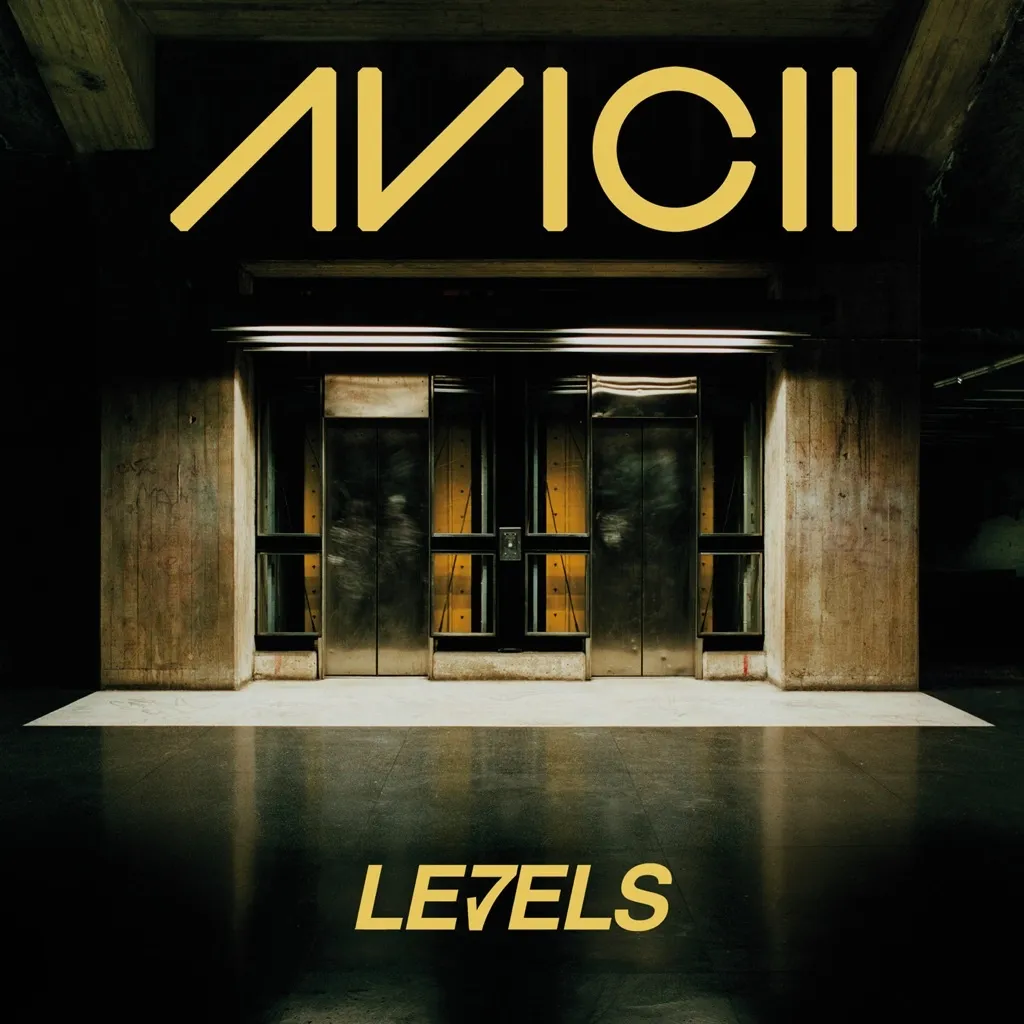 Levels by Avicii cover