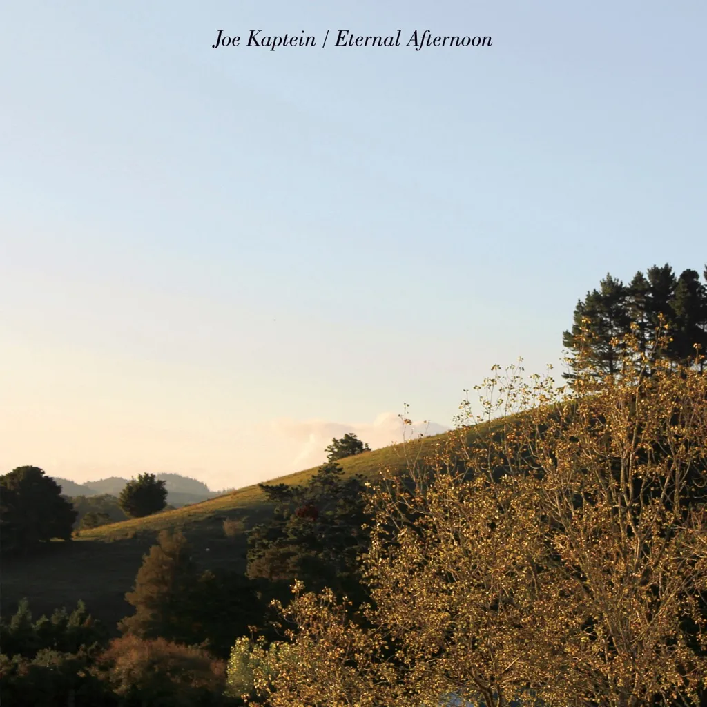 Eternal Afternoon by Joe Kaptein cover