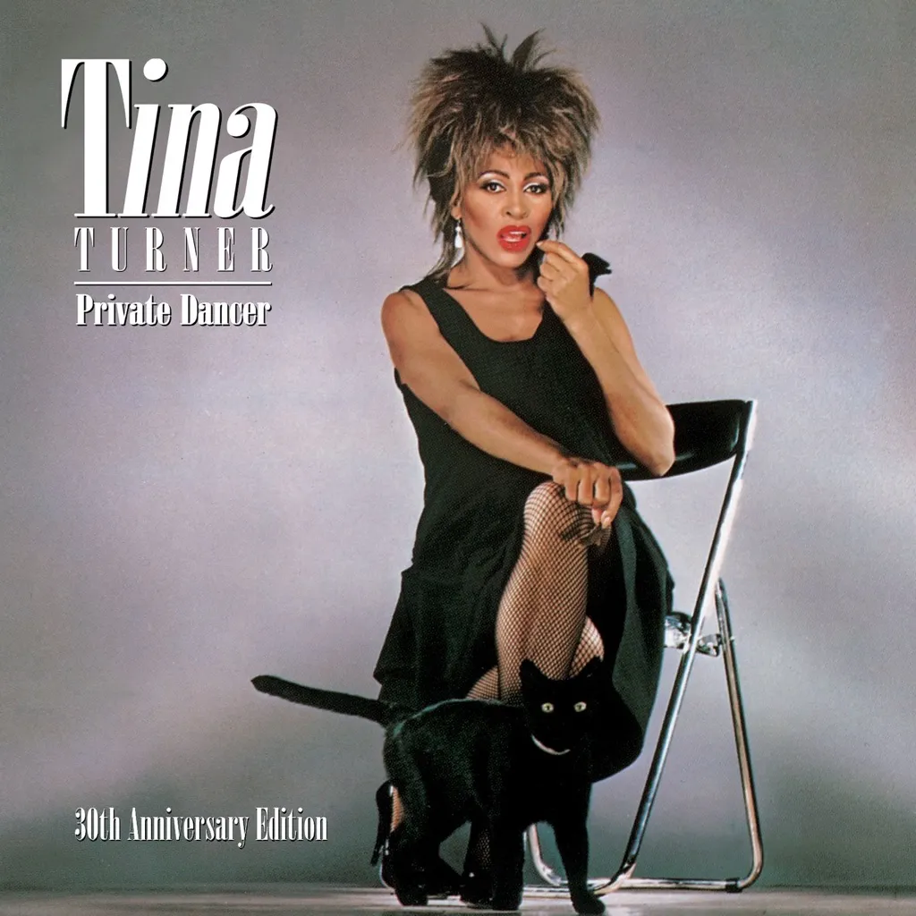 Show Some Respect by Tina Turner cover