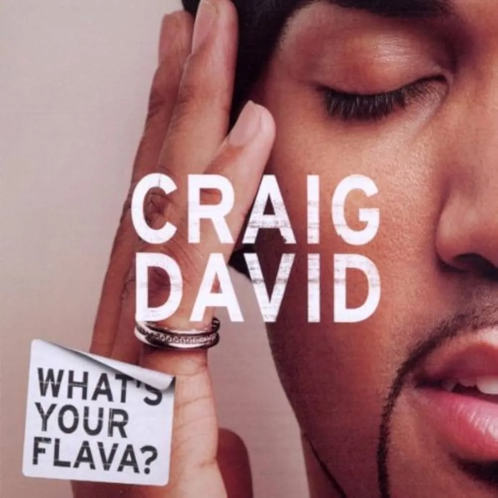 WHAT'S YOUR FLAVA? by Craig David cover