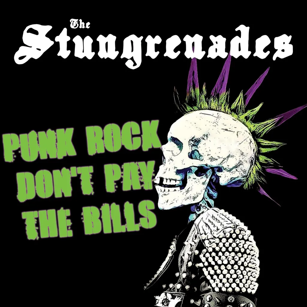 Punk Rock Don't Pay The Bills by The Stungrenades cover