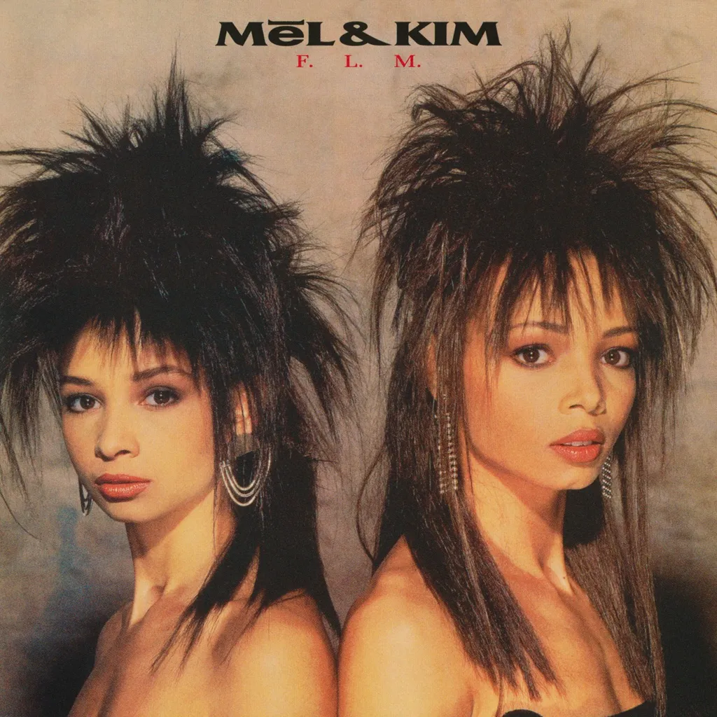 Respectable by Mel & Kim cover