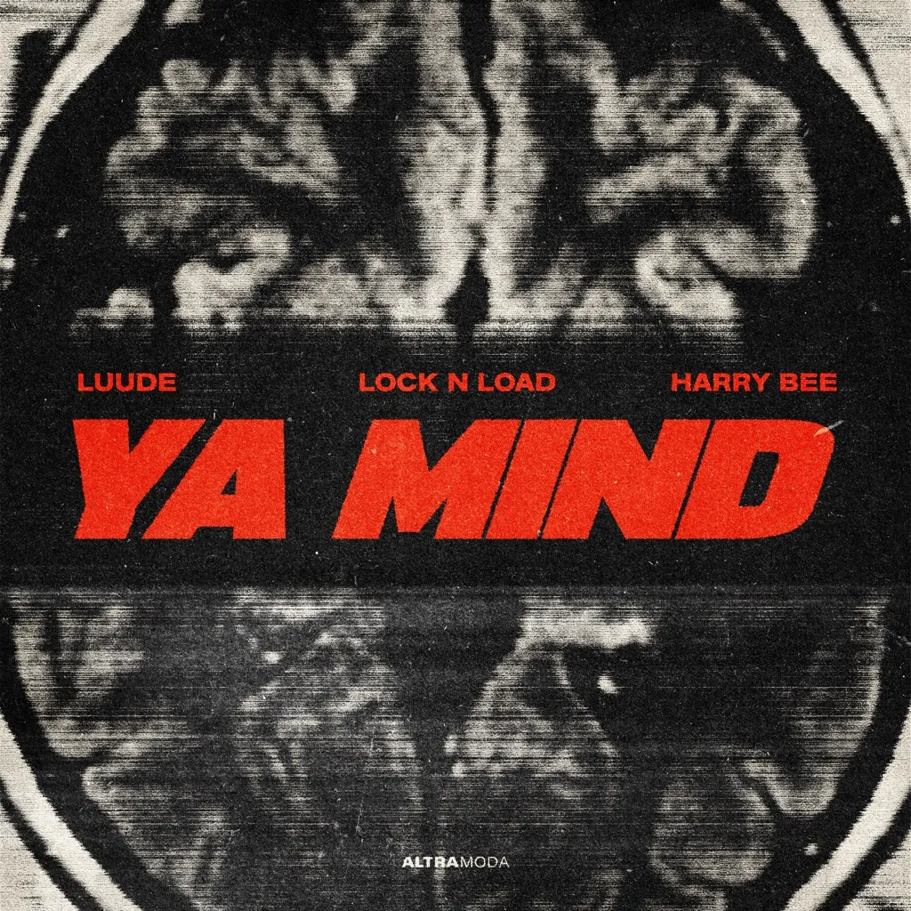 Ya Mind by Luude, Lock 'n Load And Harry Bee cover