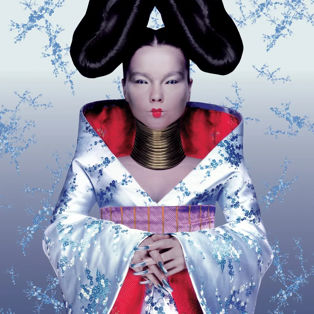 Homogenic by Bjork cover