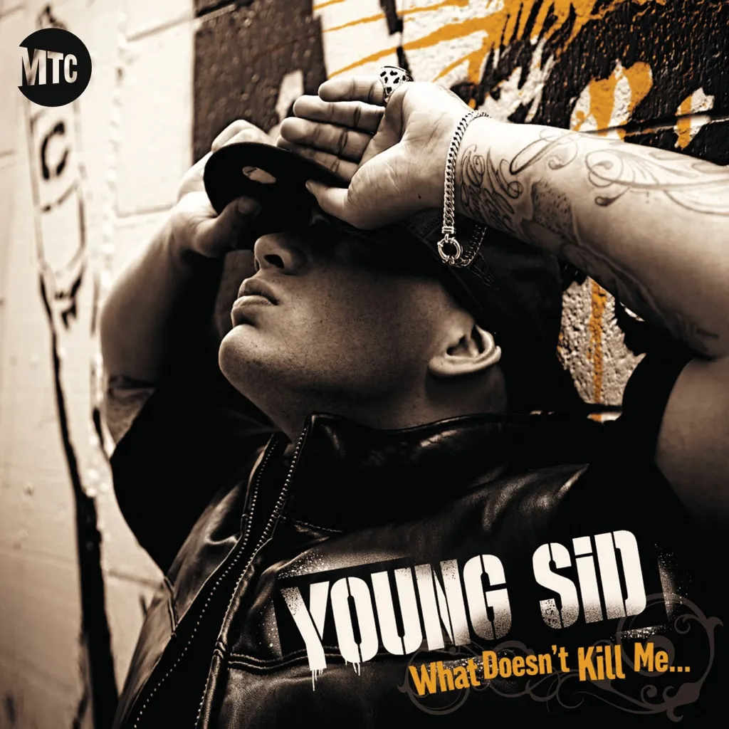 What Doesn't Kill Me by Young Sid cover