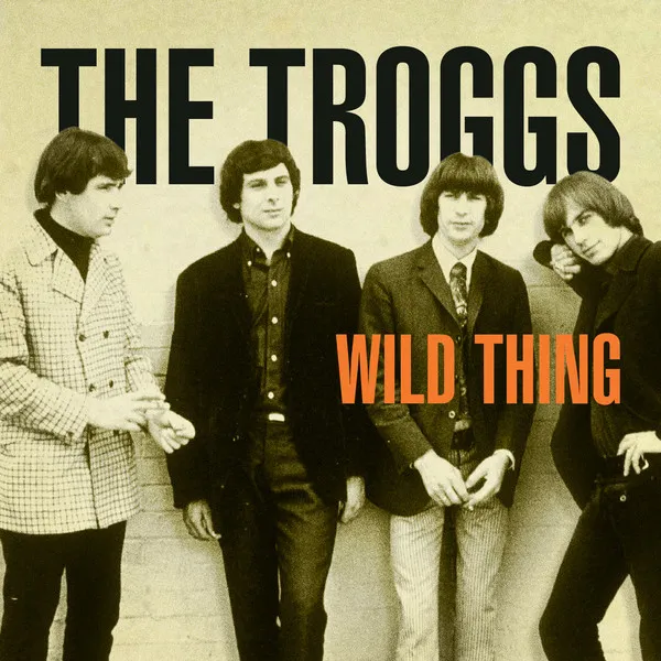 Wild Thing by The Troggs cover