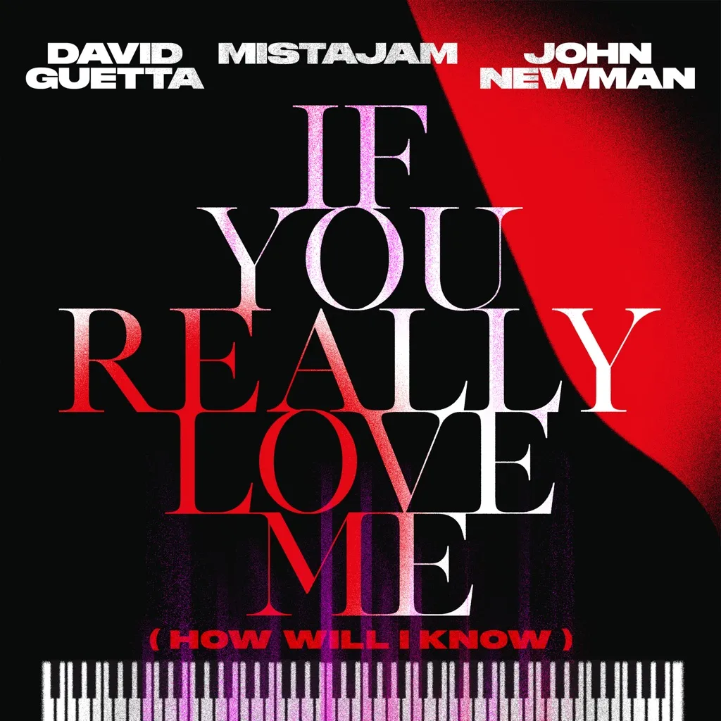 If You Really Love Me (How Will I Know) by David Guetta, MistaJam And John Newman cover