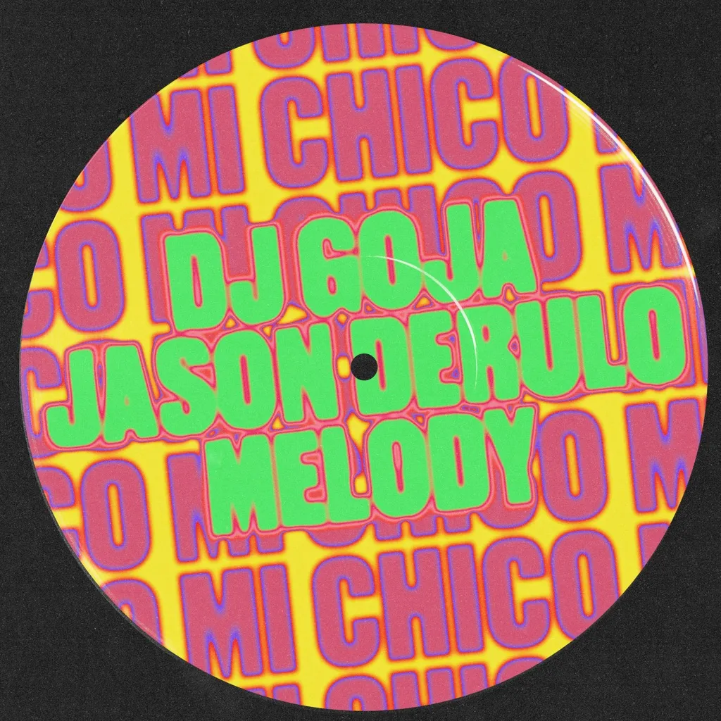 Mi Chico (Jason Derulo x Melody Version) by DJ Goja cover