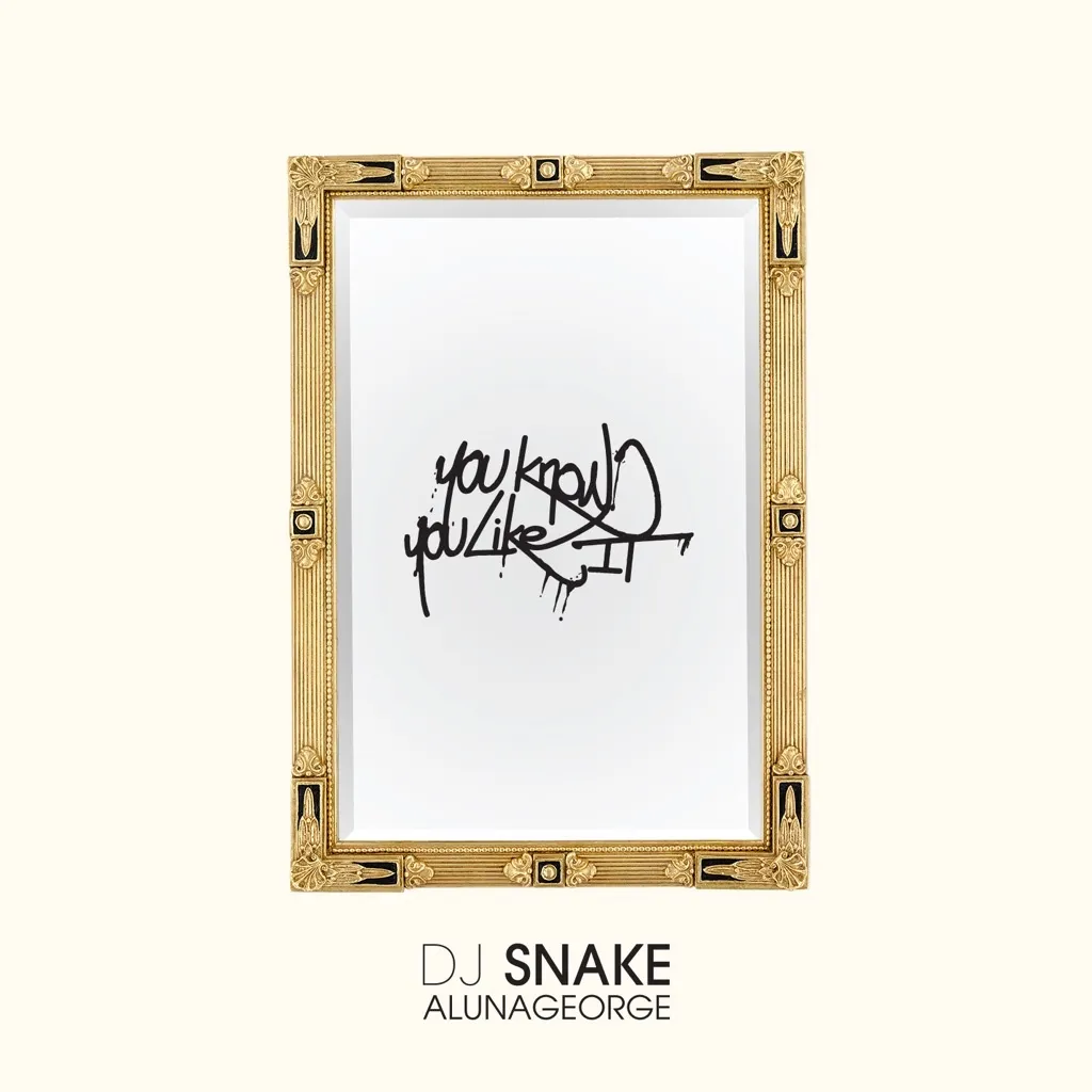 You Know You Like It by DJ Snake And AlunaGeorge cover