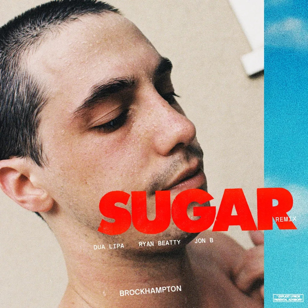 SUGAR (Remix) by Brockhampton cover