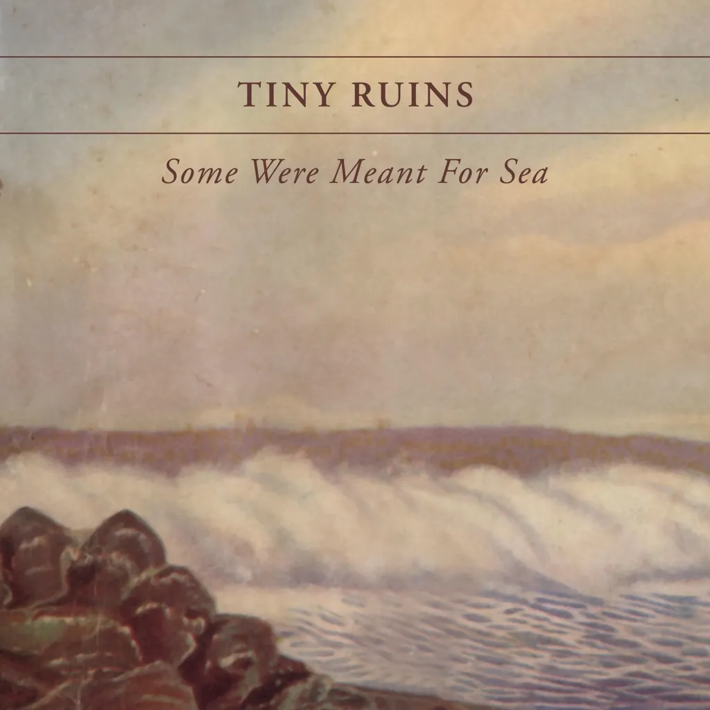 Bird In The Thyme by Tiny Ruins cover