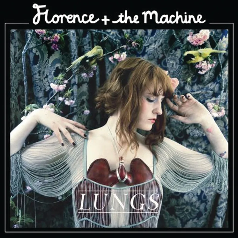 Dog Days Are Over by Florence And The Machine cover