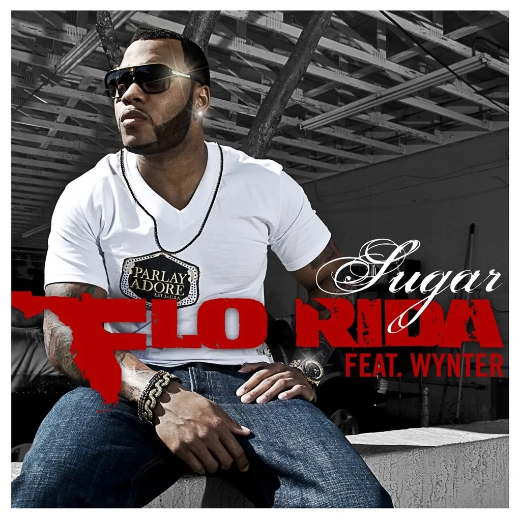 Sugar by Flo Rida feat. Wynter cover