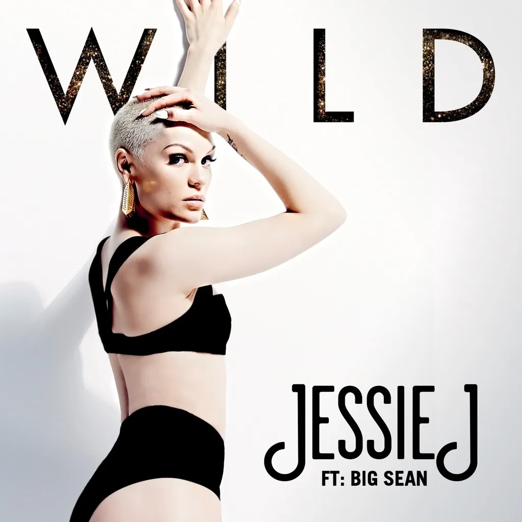 Wild by Jessie J feat. Big Sean cover