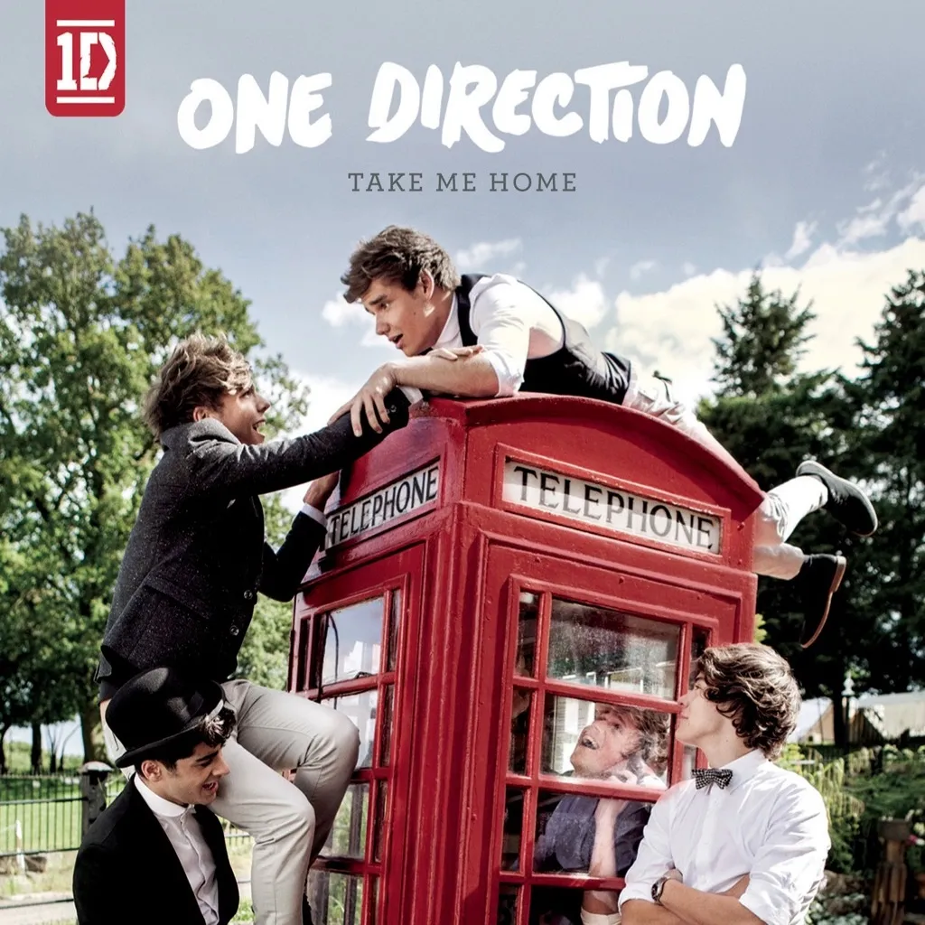 Take Me Home by One Direction cover