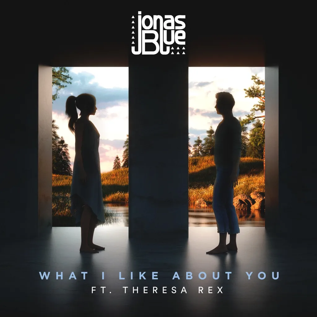 What I Like About You by Jonas Blue feat. Theresa Rex cover