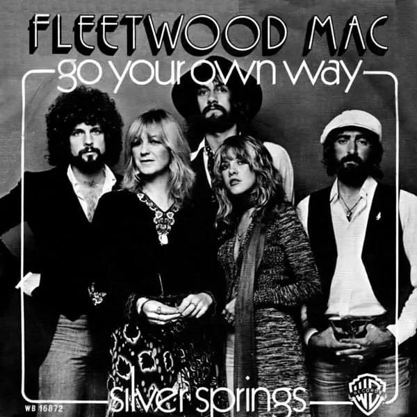 Go Your Own Way by Fleetwood Mac cover