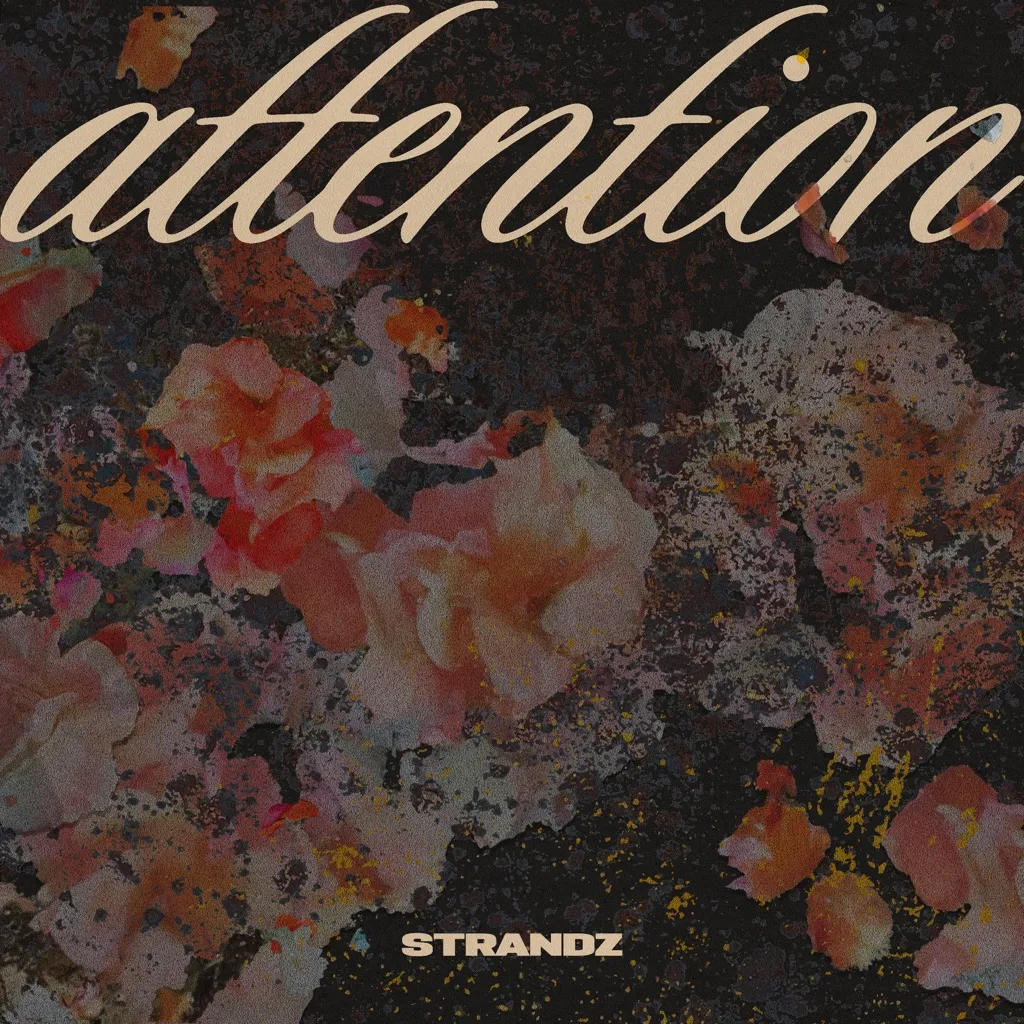 Attention by Strandz cover