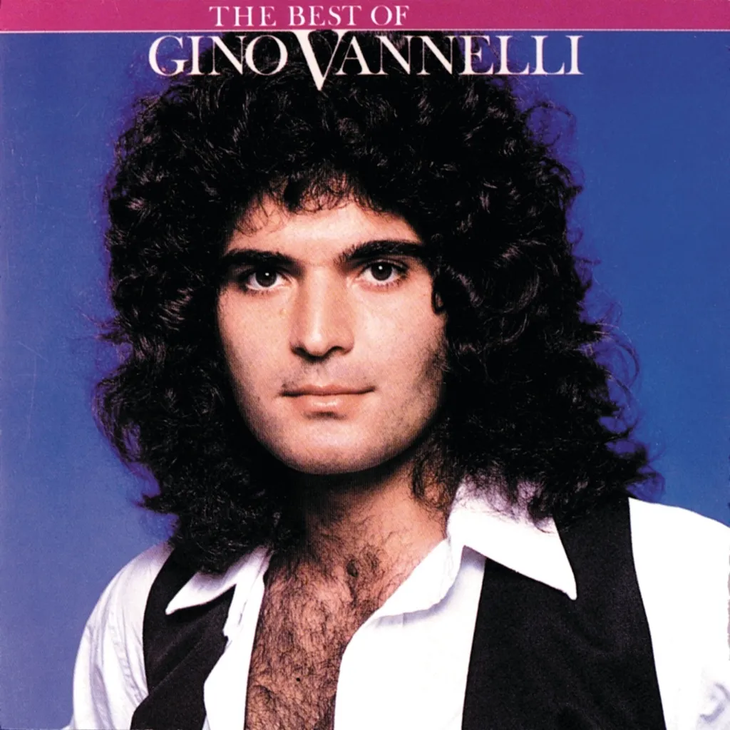 I Just Wanna Stop by Gino Vanelli cover