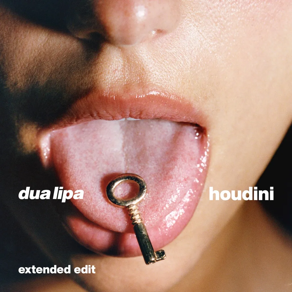 Houdini (Extended Edit) by Dua Lipa cover