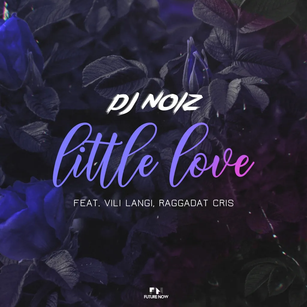 Little Love by DJ Noiz feat. Vili Langi And Raggadat Cris cover