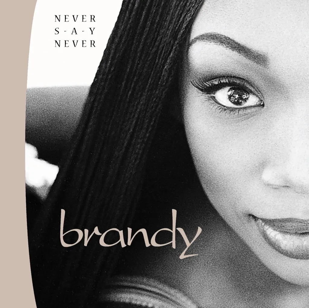 NEVER SAY NEVER by Brandy cover