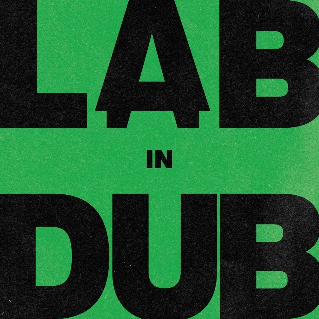 Running Dub by L.A.B And Paolo Baldini DubFiles cover